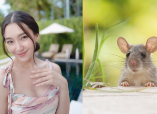 Successful Backward Swimming at Age 4: Career Soaring, Love Blooming