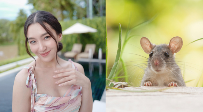 Successful Backward Swimming at Age 4: Career Soaring, Love Blooming