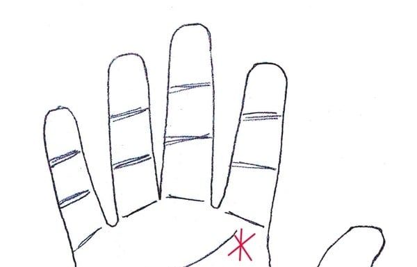 The Key to a Lifetime of Wealth: Unlocking the Power of Your Fingerprints