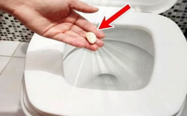 Simple and Effective Ways to Clean Your Toilet using Common Household Ingredients