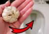 Put 1 garlic clove in the toilet bowl: Astonishing benefits everyone is learning from