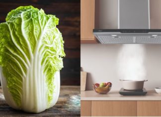 The secret to effectively removing grease from your kitchen extractor fan with just 1 bay leaf