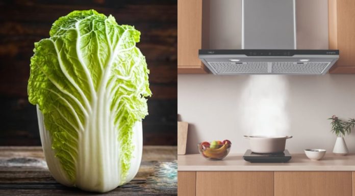 The secret to effectively removing grease from your kitchen extractor fan with just 1 bay leaf