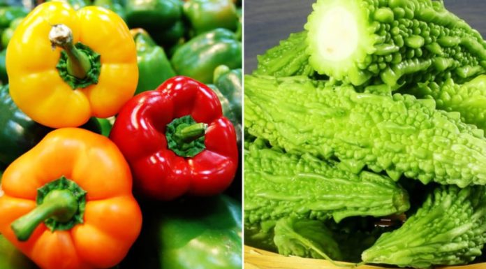 7 Fruits with Higher Vitamin C Content than Oranges and Lemons