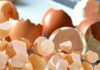 Don’t throw away eggshells, they have many unknown uses, try this method now – eggshells help save.