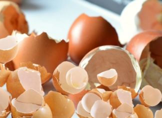 Don’t throw away eggshells, they have many unknown uses, try this method now – eggshells help save.