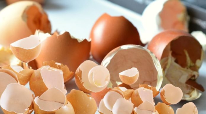 Don’t throw away eggshells, they have many unknown uses, try this method now – eggshells help save.