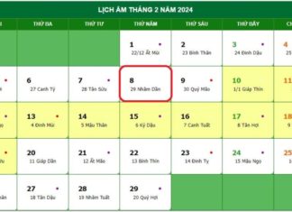 The Most Accurate Time and Lunar Calendar for International Women’s Day on March 8th, 2024
