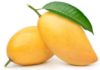 Mango: Are Male or Female Mangoes More Delicious?