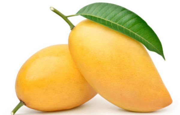 Mango: Are Male or Female Mangoes More Delicious?