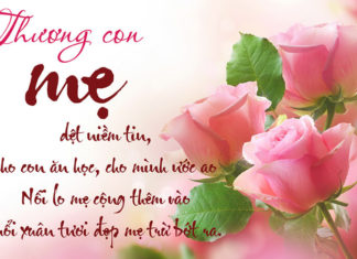 The Most Powerful and Captivating International Women’s Day Greetings for the Amazing Women in Your Life