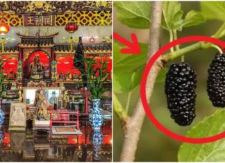 Forbidden Plants and Objects in Chinese Folklore