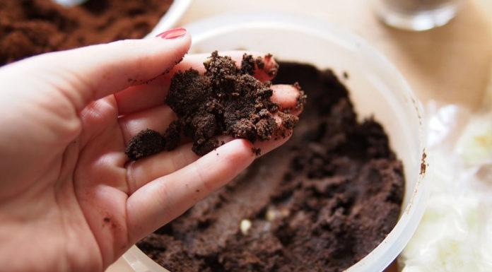 6 Divine Coffee Body Scrubs You Can’t Resist