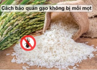 Protect Your Rice: Infuse It with Mites’ Bane