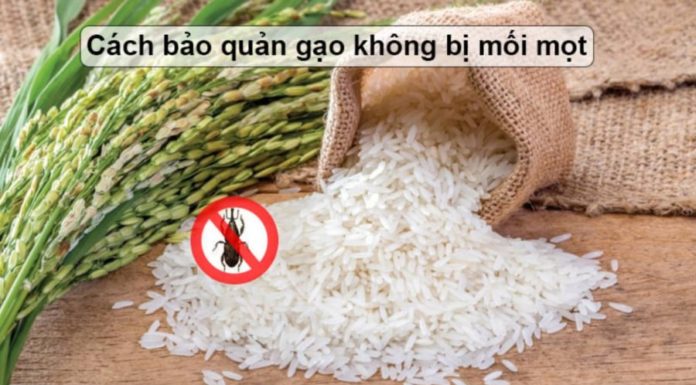 Protect Your Rice: Infuse It with Mites’ Bane