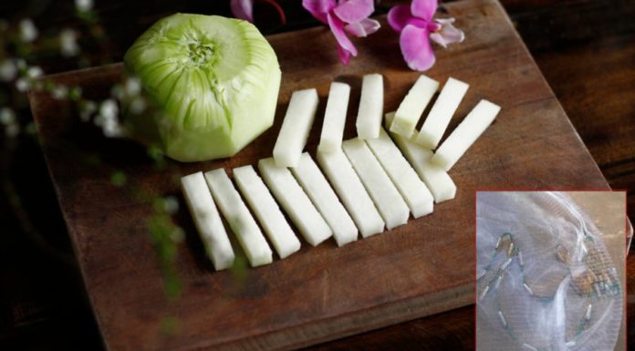 The Ultimate Cutting Skills: Elevate Your Home Cooking with Seemingly Simple Techniques