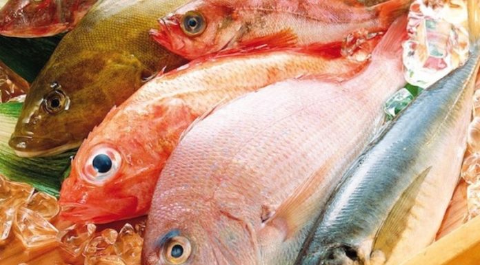 6 Air Fryer Crispy Fish Hacks to Avoid Sogginess