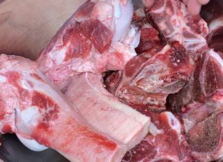 Unlock the Secrets of Pressure Cooker Bone Broth: A Delectable Elixir Rich in Nutrients