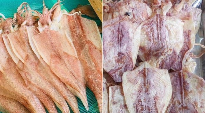 Dry Squid Preservation: Retaining Quality, Preventing Spoilage