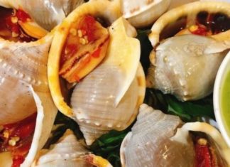 Savory Snails: 6 Delectable Recipes to Delight the Family