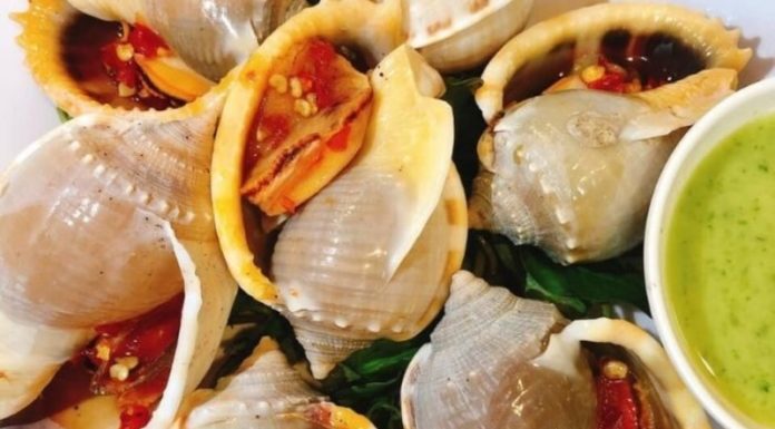 Savory Snails: 6 Delectable Recipes to Delight the Family