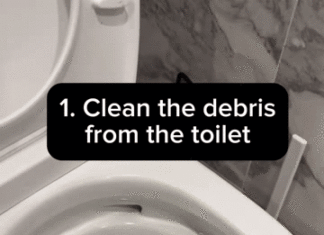 Common Toilet Cleaning Mistake That Many People Make: No Wonder Why Your Bathroom Stinks and Harbors Dangerous Germs