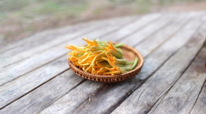 Zucchini Flowers Done This Way and the Whole Family Will Praise You