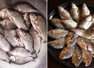 3 Types of Fish You Should Eat This Summer That Are Delicious, Nutritious, and Rich in Vitamin D and Omega-3s