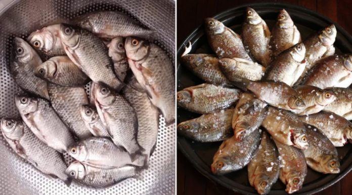 3 Types of Fish You Should Eat This Summer That Are Delicious, Nutritious, and Rich in Vitamin D and Omega-3s