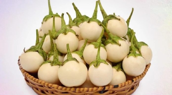 How to Pickle Sweet and Sour Eggplant: A Simple Guide to Making Crispy, Flavorful Pickles Without Browning or Sliming