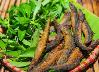 Two Types of Fish as Beneficial as Ginseng and Bird’s Nest: Replenishing Blood, Nourishing Kidneys, and Lowering Blood Sugar