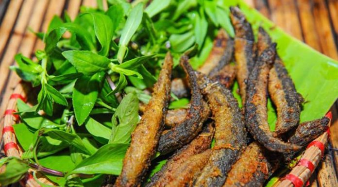 Two Types of Fish as Beneficial as Ginseng and Bird’s Nest: Replenishing Blood, Nourishing Kidneys, and Lowering Blood Sugar