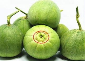 The only trick you need to know when picking cantaloupes: A delicious fruit, not bitter, and free of chemicals