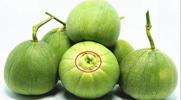 The only trick you need to know when picking cantaloupes: A delicious fruit, not bitter, and free of chemicals