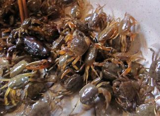 Crabstick Hotpot: Replicate The Restaurant Flavor At Home