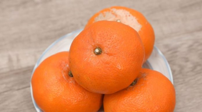 How to Identify the Sweetest Navel Oranges: 3 Tips from Seasoned Growers