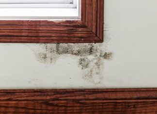 Is It Okay to Keep Money in Your Closet? Here’s Why