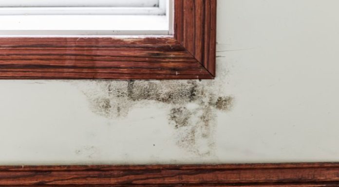 Is It Okay to Keep Money in Your Closet? Here’s Why