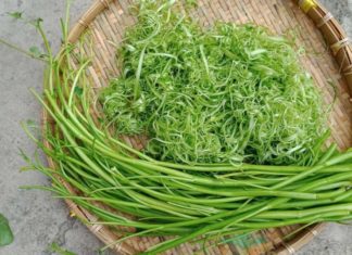 Beef and Water Spinach Salad: A Summer Delight Ready in Just 30 Minutes