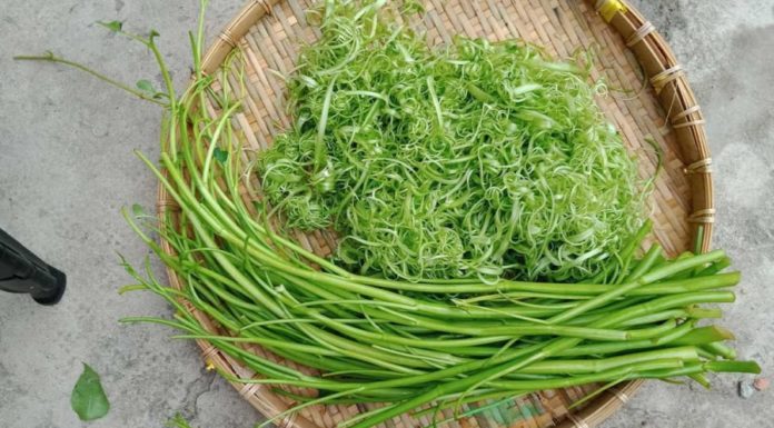 Beef and Water Spinach Salad: A Summer Delight Ready in Just 30 Minutes
