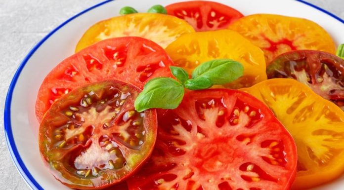 8 Natural Collagen-Rich Foods to Help Reverse the Clock on Aging Skin