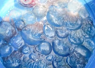 What is Hue’s water spinach (Con Nuoc Hue)? What is the flavor that captivates so many?