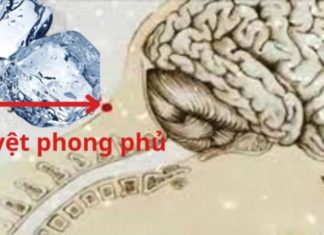 Ginger and Ice Cubes: A Secret Remedy for Sleep Troubles