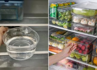 A Smart Way to Save Electricity: Place a Bowl of Water in the Fridge Overnight