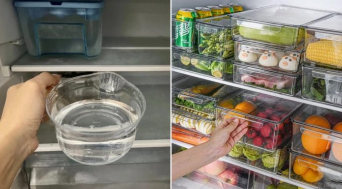 A Smart Way to Save Electricity: Place a Bowl of Water in the Fridge Overnight