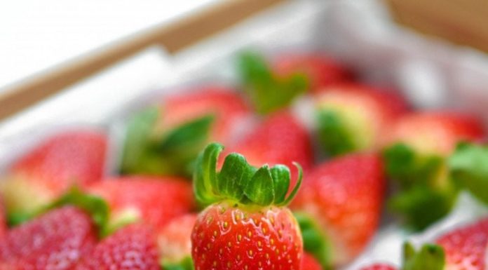 Strawberries Rank #1 for Pesticide Residues in the US, Vietnamese Expert Advises on How to Choose and Consume Strawberries Safely