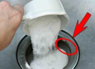 Pour a Bowl of This Down the Drain, Your Entire House Will Thank You! The Effects Are Immediate