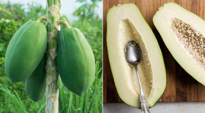 What are the benefits of eating unripe papaya?