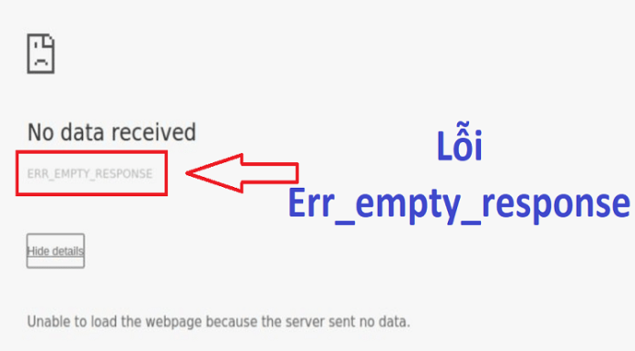 What is Err_empty_response Error? Causes and Easy Fixes