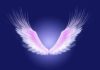5 Heavenly Angel Wings Photo Editor Apps for Stunning and Adorable Edits on Your Mobile Phone